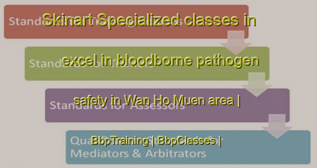 Skinart Specialized classes in excel in bloodborne pathogen safety in Wan Ho Muen area | BbpTraining | BbpClasses | SkinartTraining-Myanmar